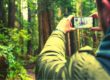 persona fotografiando un bosque_ ciencia ciudadana