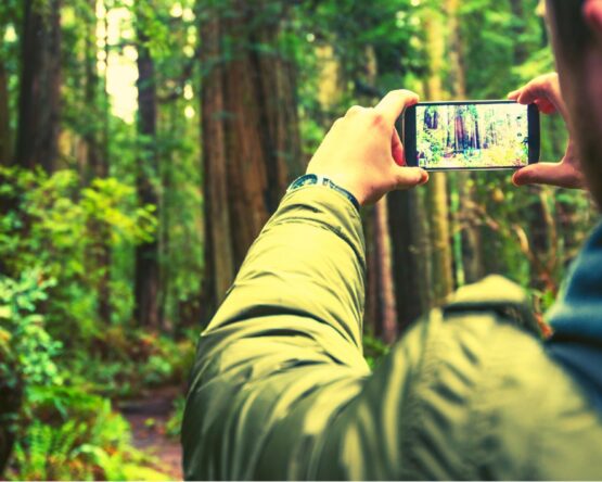 persona fotografiando un bosque_ ciencia ciudadana