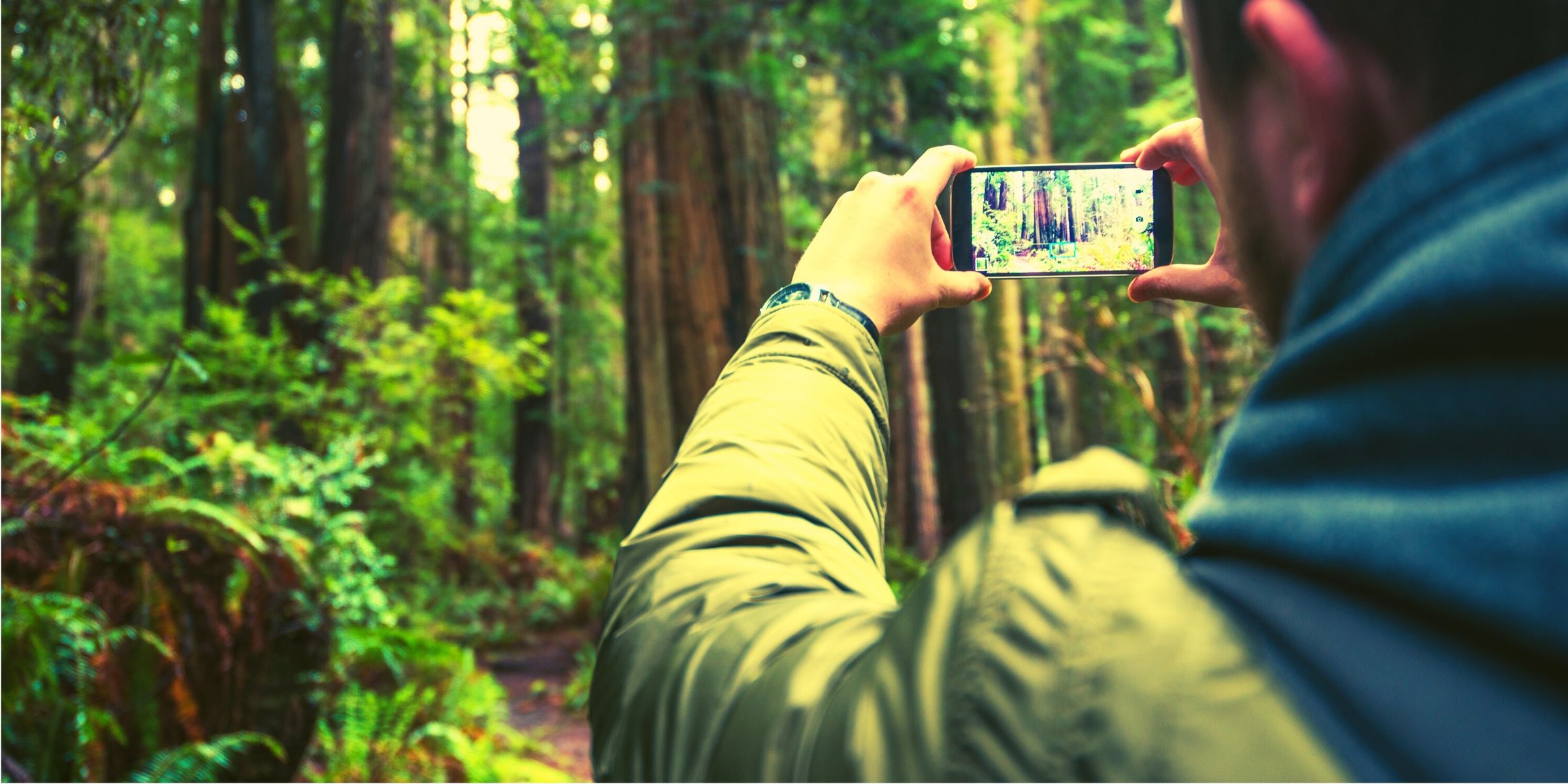 Ciencia Ciudadana y apps persona fotografiando un bosque_ ciencia ciudadana