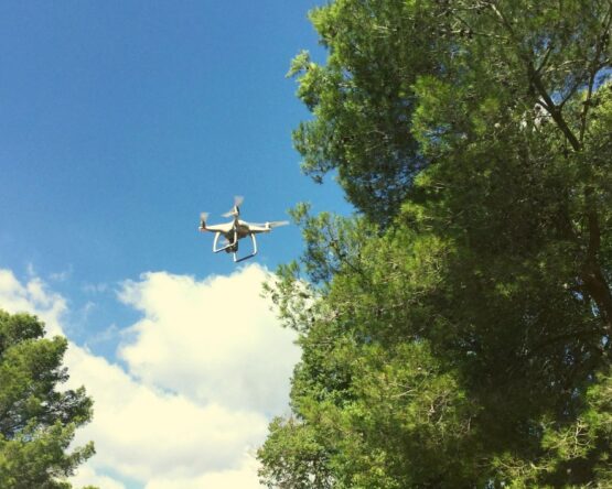 drones y vigilancia ambiental
