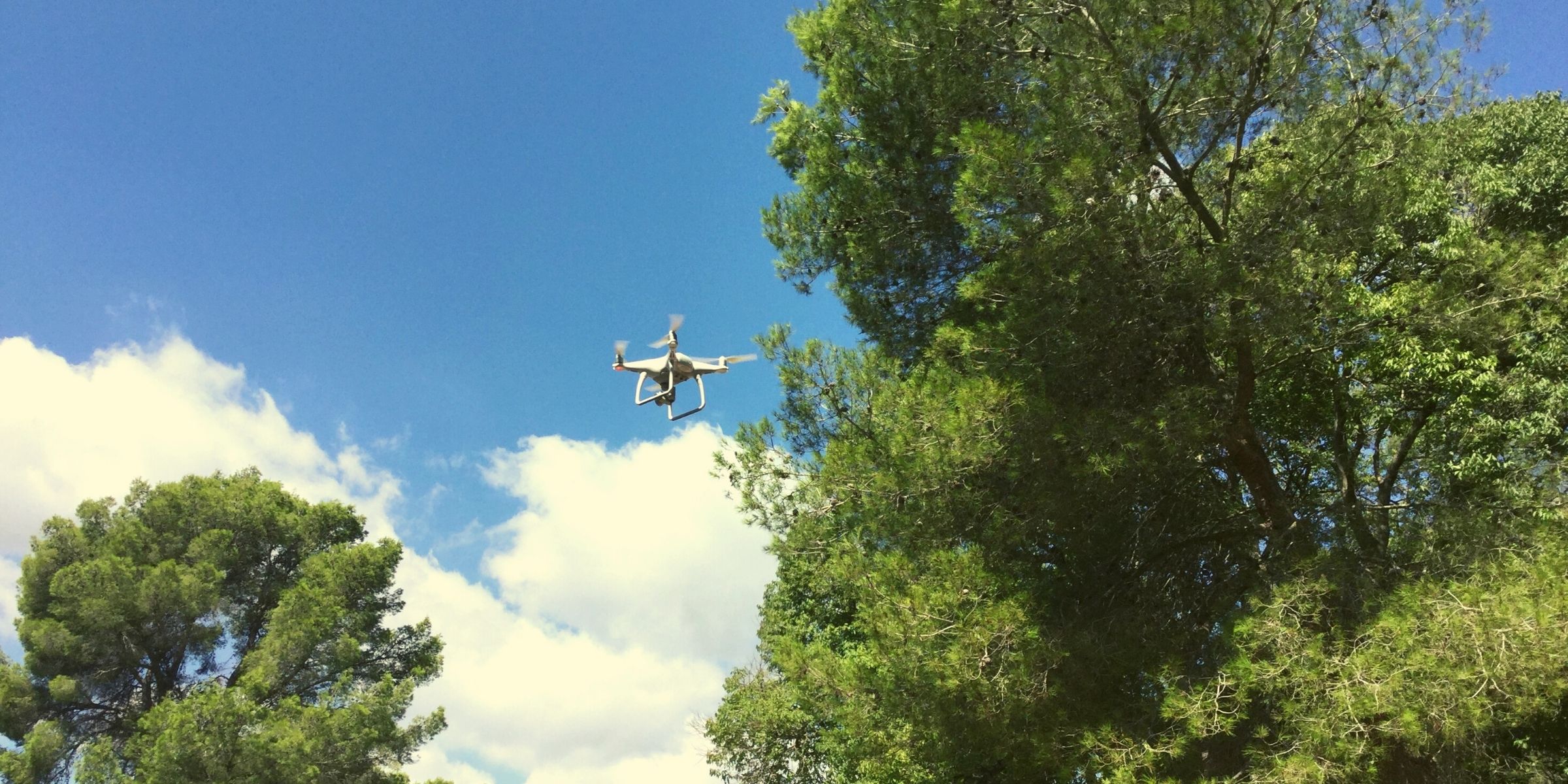 drones y estudios ambientales drones y vigilancia ambiental